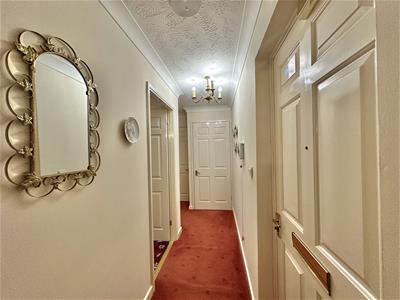 Picture 7